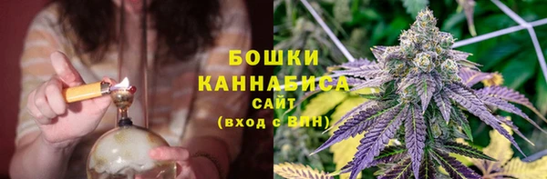 дживик Михайлов